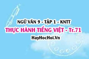 Soạn bài Thực hành Tiếng Việt trang 71 Ngữ văn lớp 9 tập 1 Kết nối tri thức